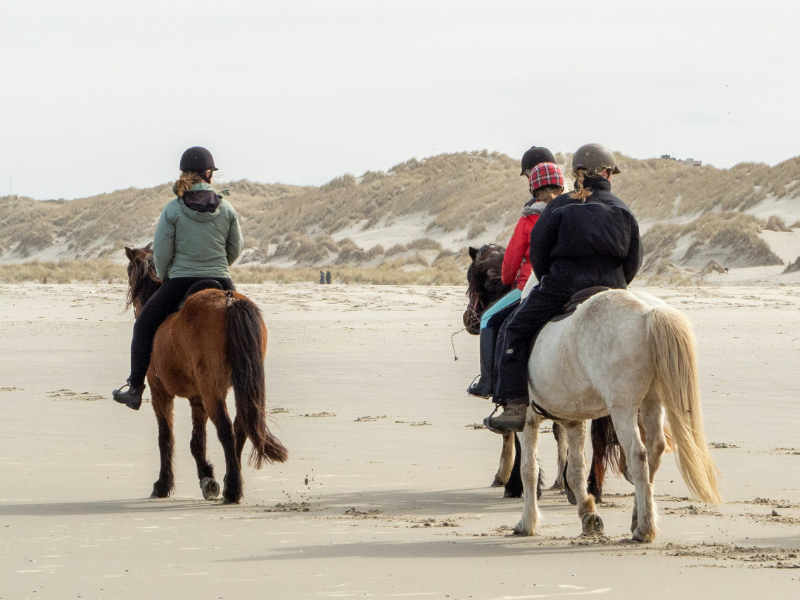 Séjour linguistique ado